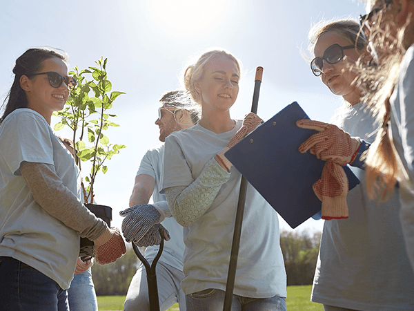 Vereine bieten an Übersichtsbild